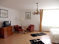 Zimmeransicht Hotel auf der Hohe in Ballenstedt